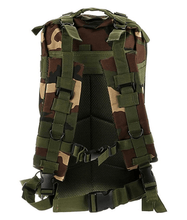 Load image into Gallery viewer, Tactical Military 25L Molle Backpack
